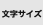 �����T�C�Y