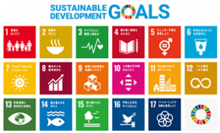 sdgs